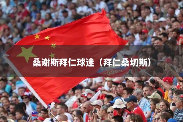 桑谢斯拜仁球迷（拜仁桑切斯）