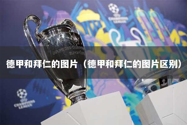 德甲和拜仁的图片（德甲和拜仁的图片区别）